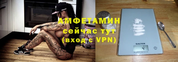 твердый Пересвет