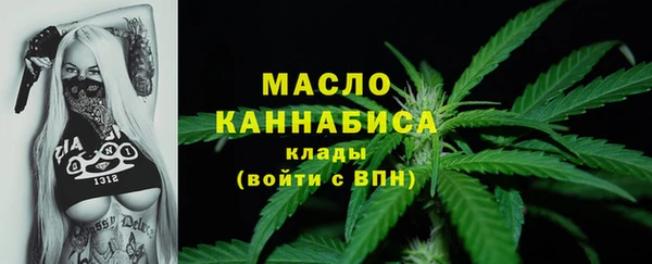 твердый Пересвет