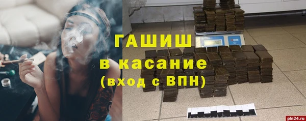 твердый Пересвет