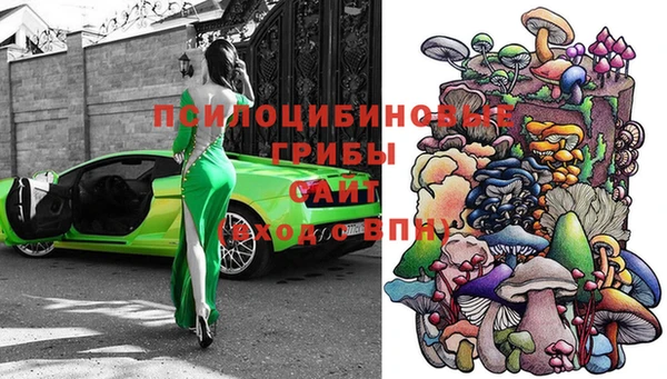 дживик Пестово