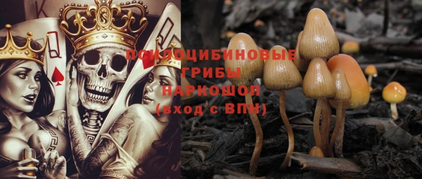 дживик Пестово