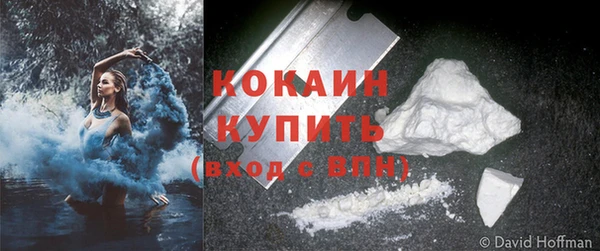 твердый Пересвет