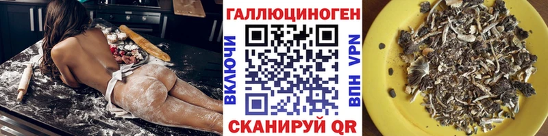 Псилоцибиновые грибы Cubensis  Купить закладки  Куровское 