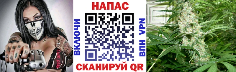 Купить закладки  Куровское  Бошки марихуана AK-47 